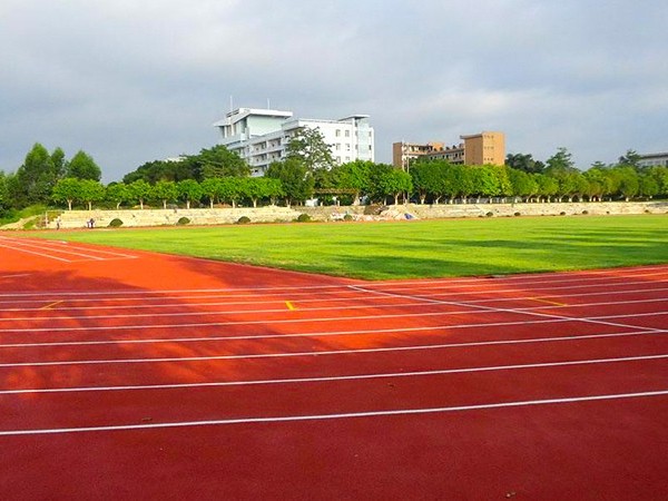 河南新国标塑胶跑道