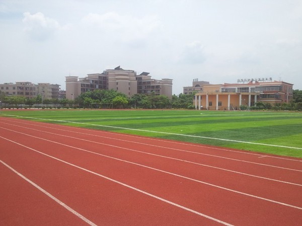 江苏新国标全塑型塑胶跑道