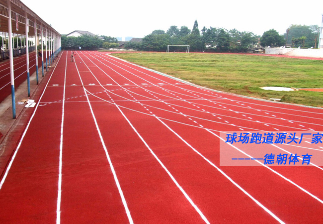 海南新国标全塑型塑胶跑道