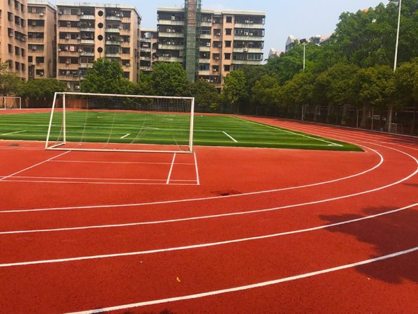 河北新国标全塑型塑胶跑道