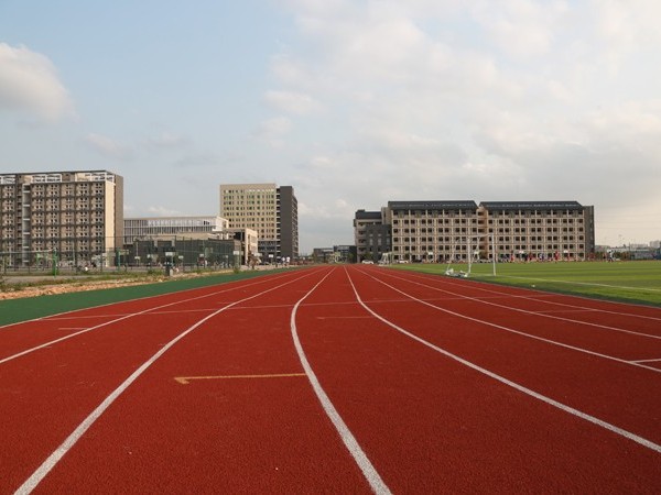 新国标塑胶跑道