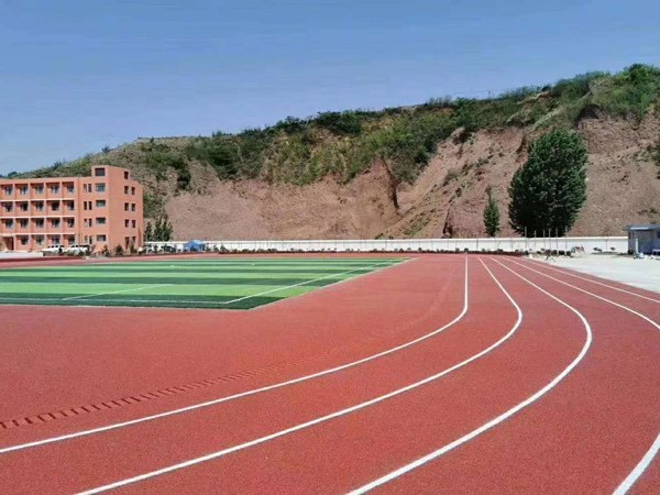 新国标全塑型塑胶跑道