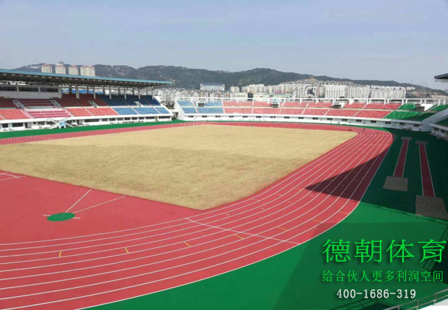 重庆室外塑胶跑道施工