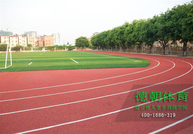 新国标混合型塑胶跑道材料
