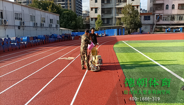 云南新国标全塑型塑胶跑道