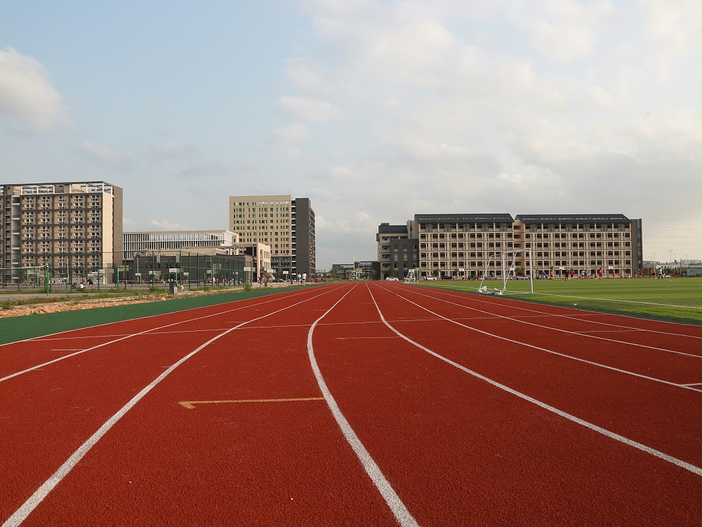 新国标自结纹塑胶跑道材料